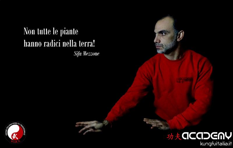 Kung Fu Academy Caserta di Sifu Salvatore Mezzone Accademia di Wing Chun e Tai Chi Quan (1)